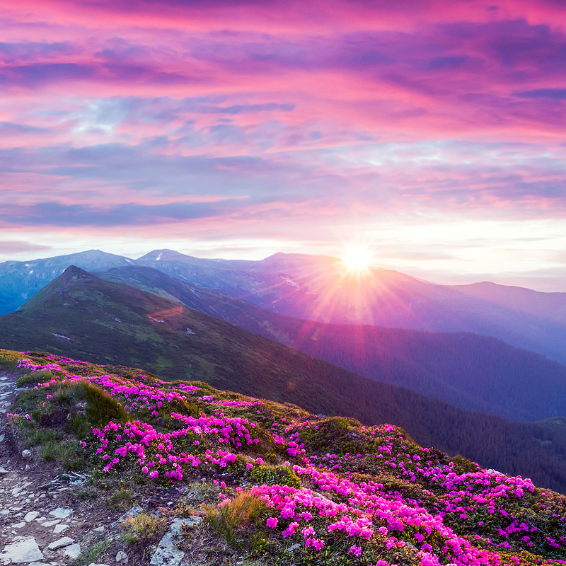 #1 Welcome to the Blog